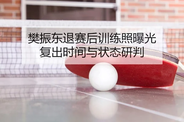 樊振东退赛后训练照曝光 复出时间与状态研判
